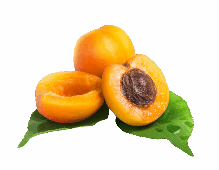 apricot